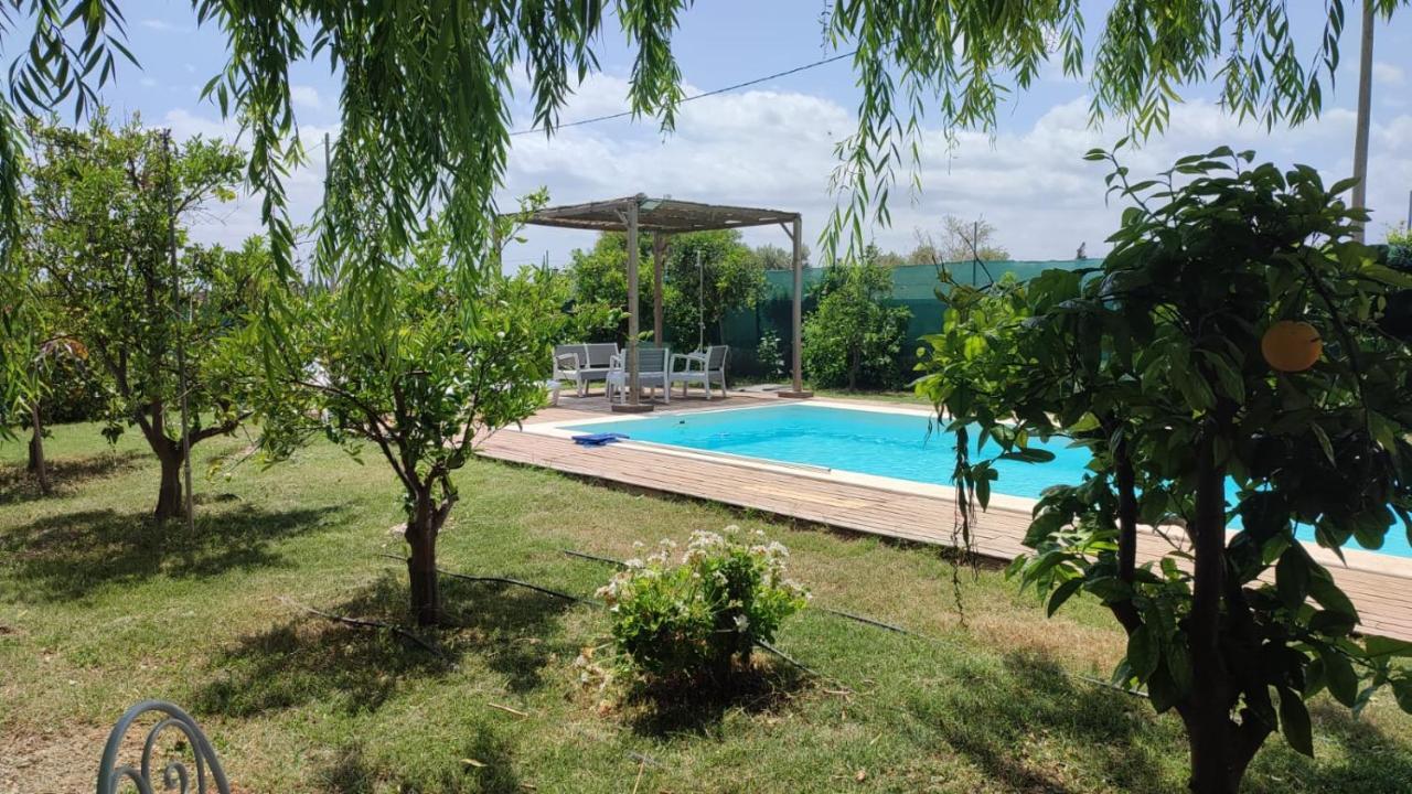 Els Tarongers Perfect For Families Or Friends Holiday home *