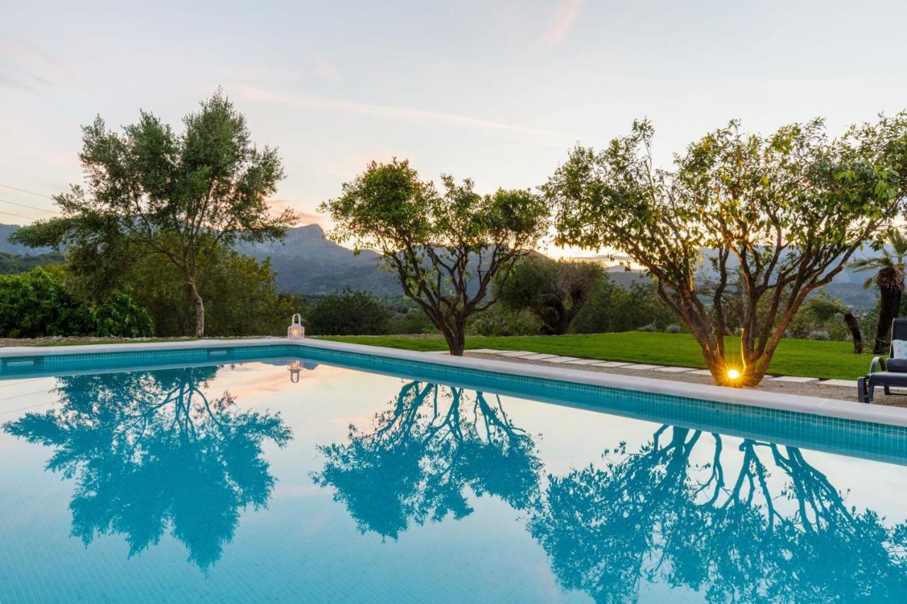 Tortet Villa Pollensa