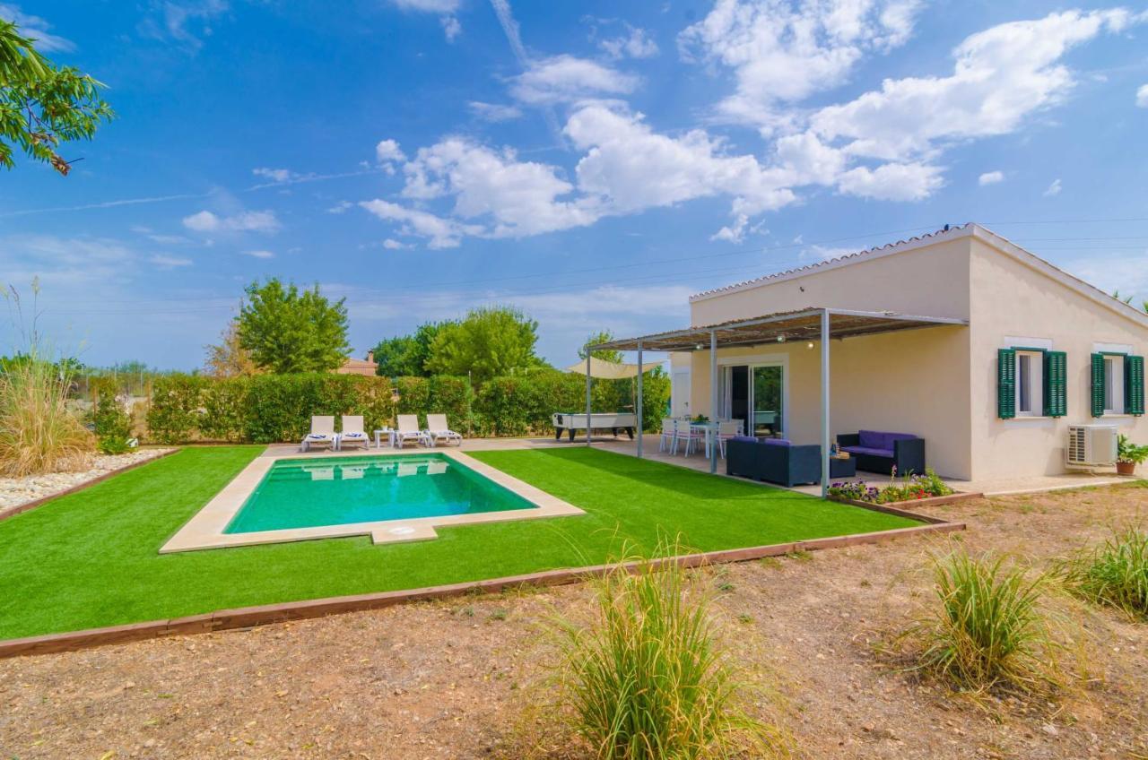 Noguer Villa Lloseta