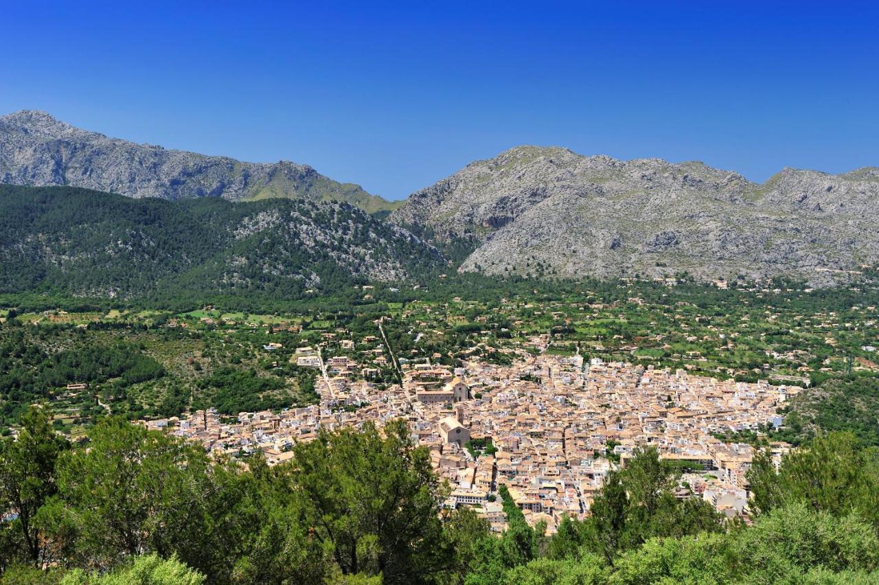 Tortet Pollensa
