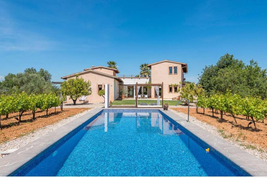 Villa Mia Limon Algaida (Mallorca)