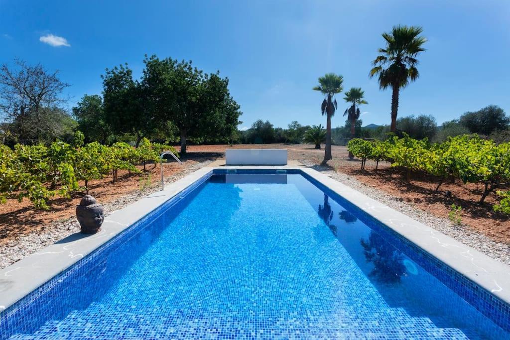 Mia Limon Villa Algaida (Mallorca)