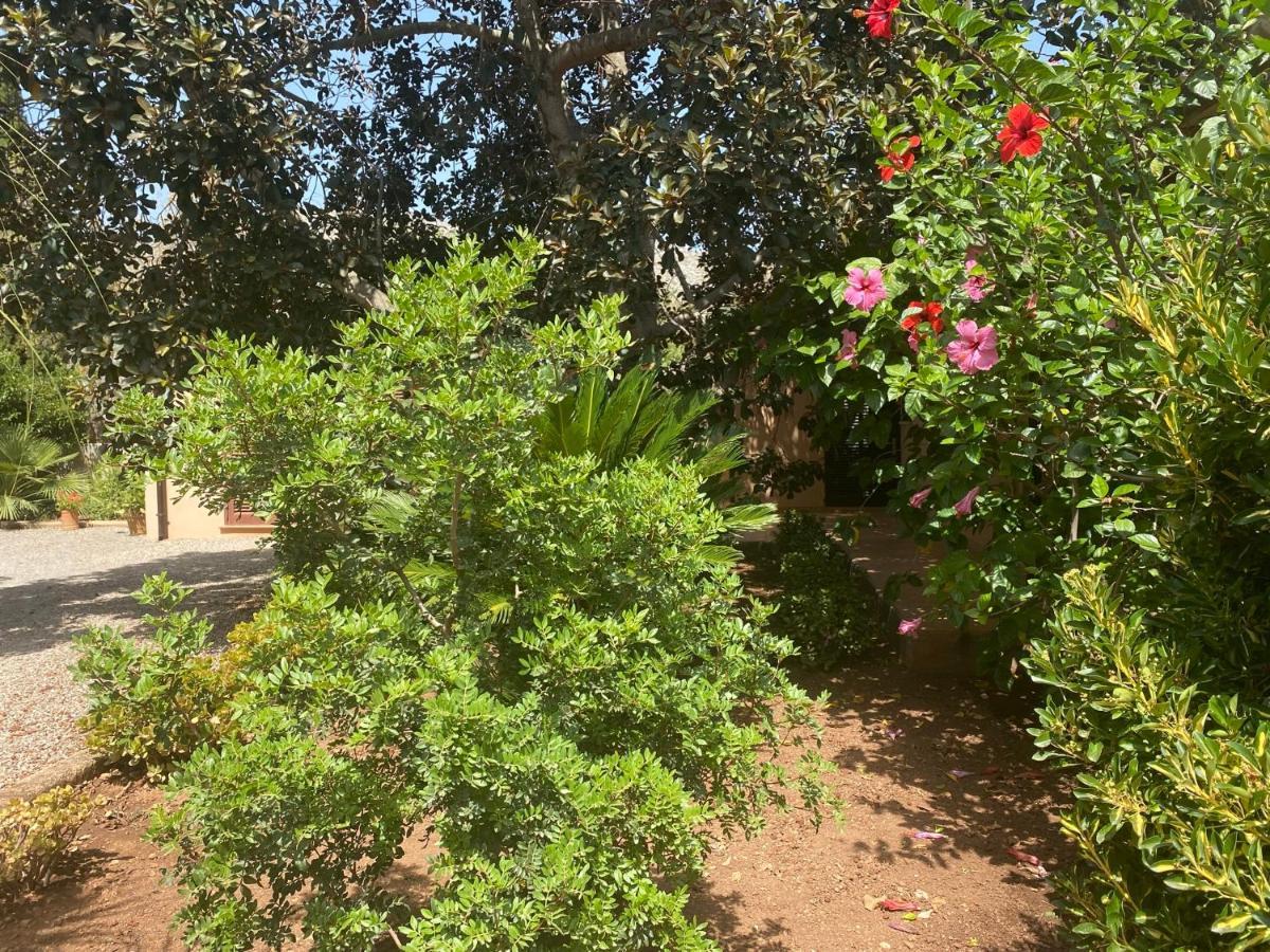 Can Vilanova Villa