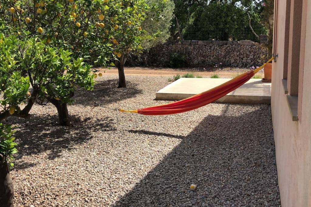 Mia Limon Algaida (Mallorca)