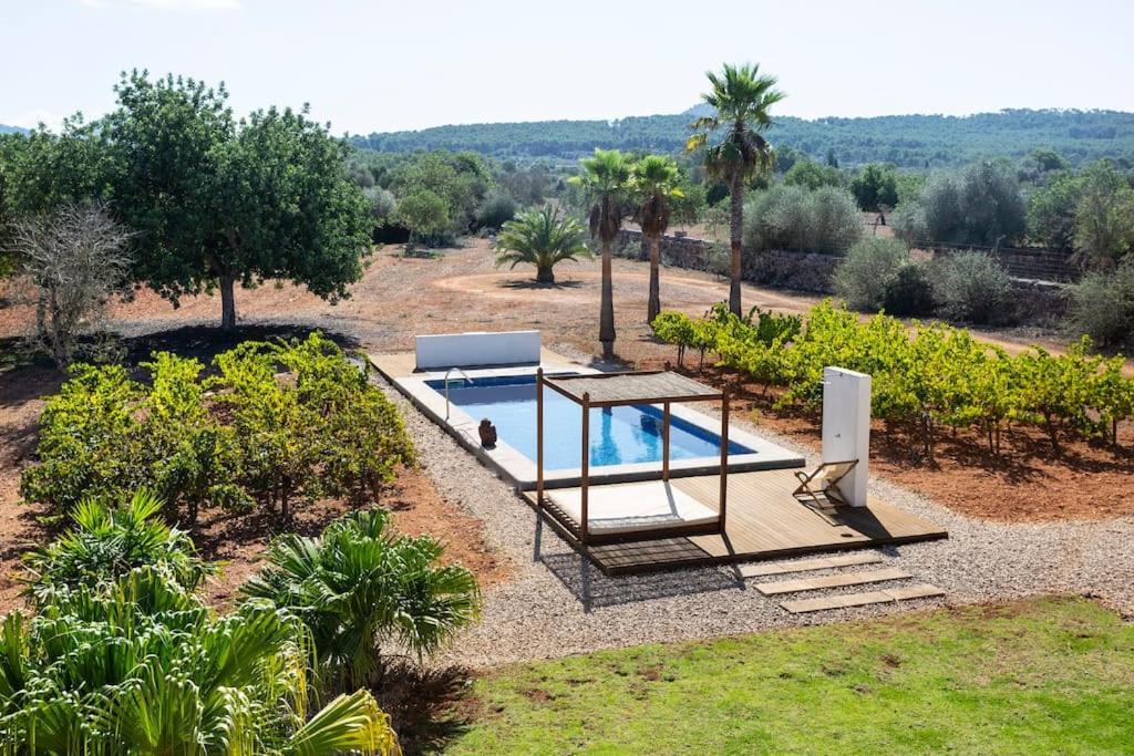 Mia Limon * Algaida (Mallorca)