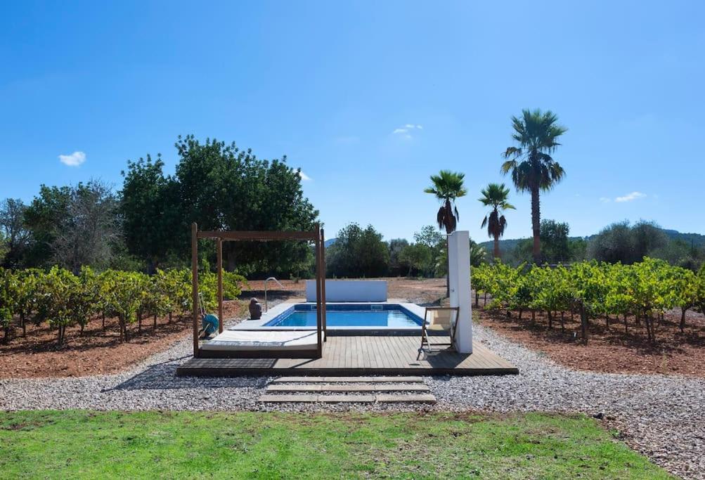 Mia Limon Villa Algaida (Mallorca)