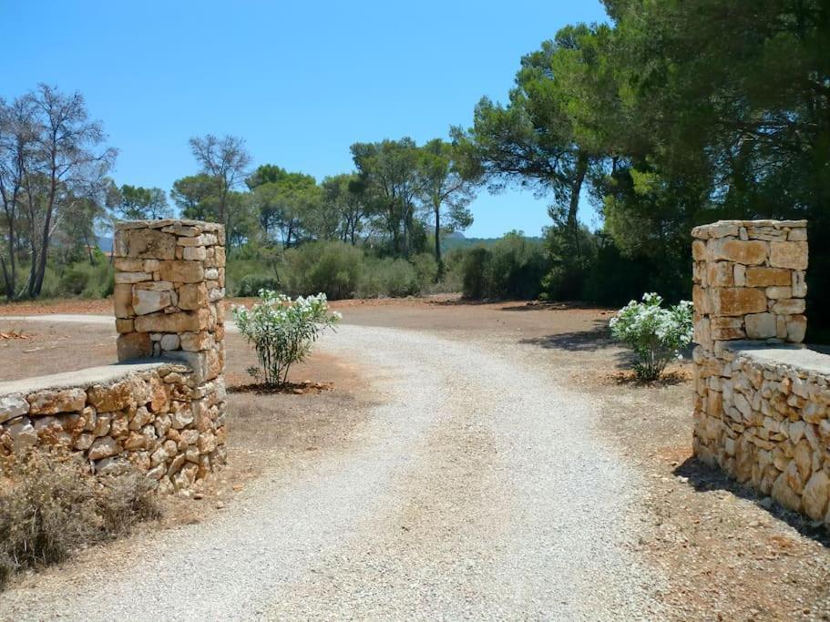 Mia Limon Algaida (Mallorca)