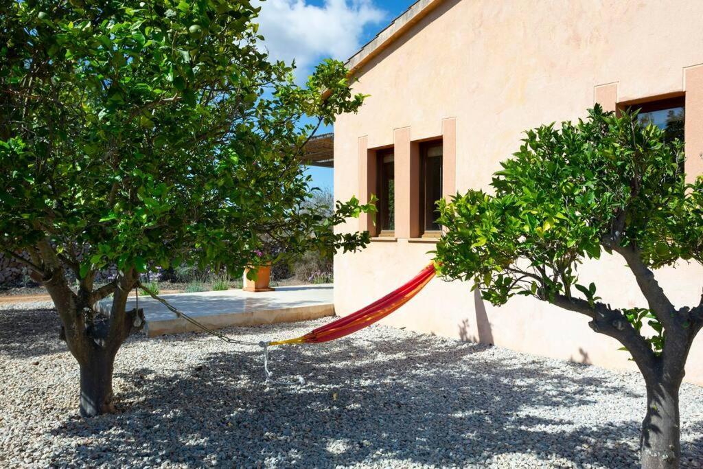 Villa Mia Limon