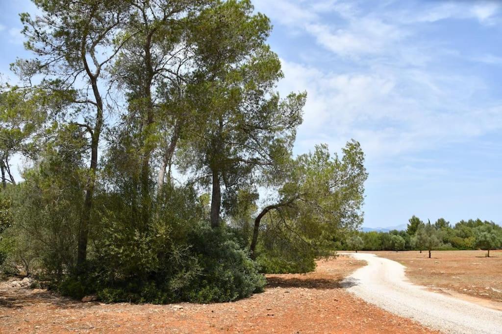 Mia Limon Villa Algaida (Mallorca)