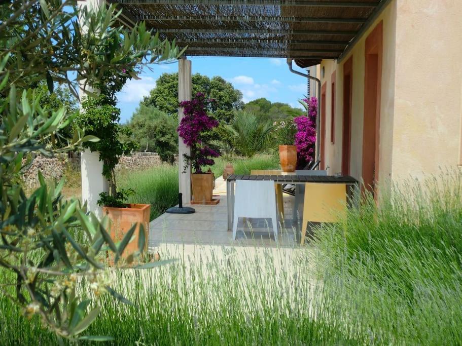 Villa Mia Limon Algaida (Mallorca)
