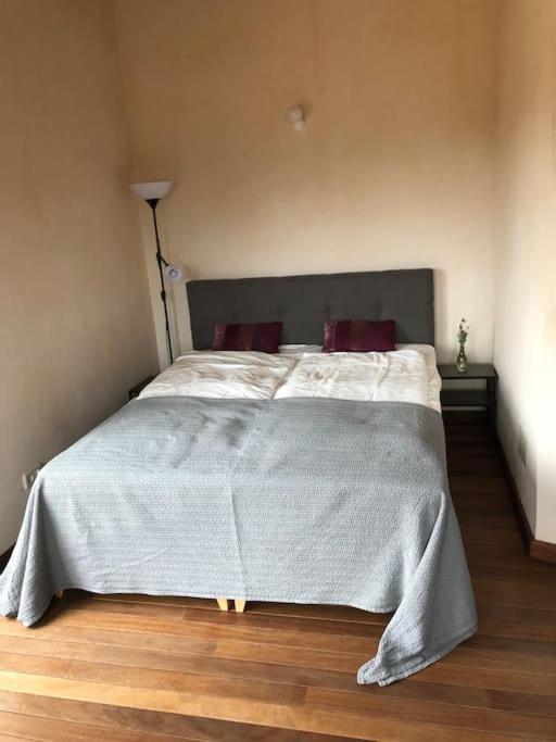 Villa Mia Limon Algaida (Mallorca)