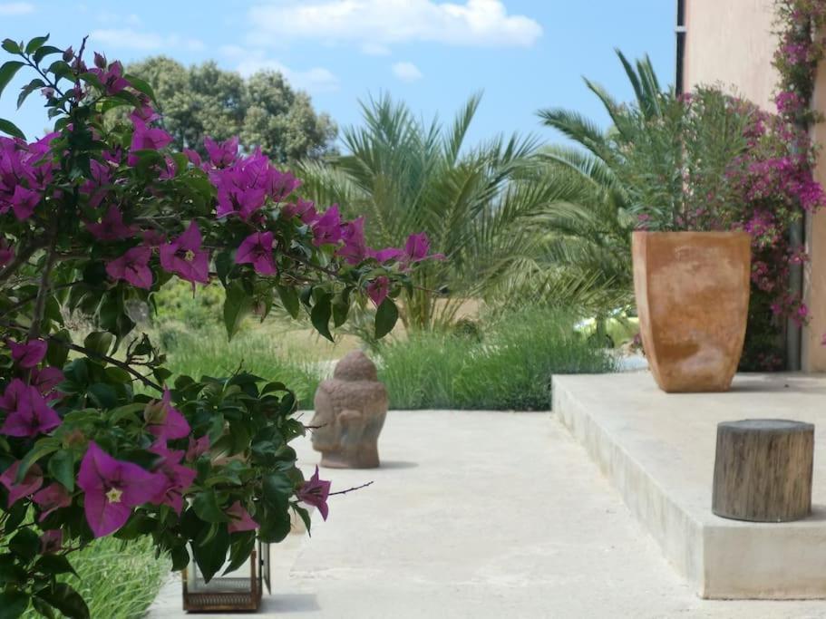 Mia Limon Villa Algaida (Mallorca)