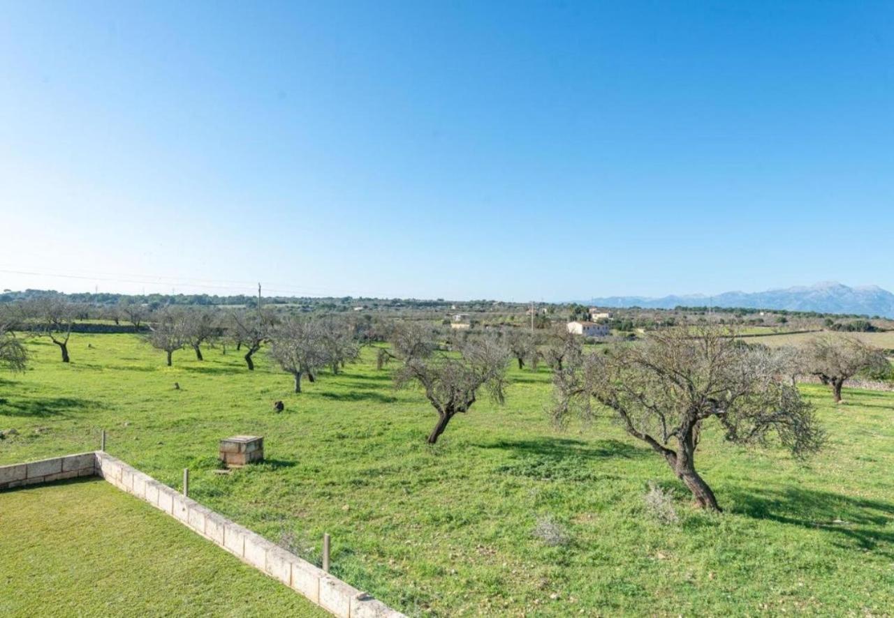 Vernisa 454 Can Picafort (Mallorca)