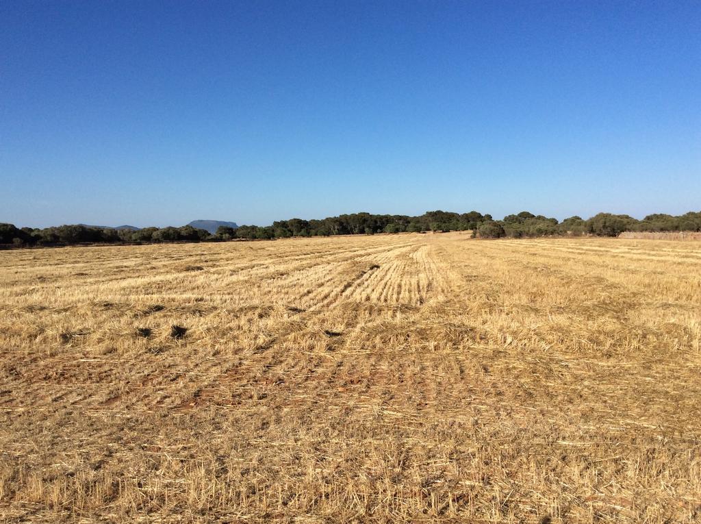 Sa Bassa Crua Agroturismo Sa Torre