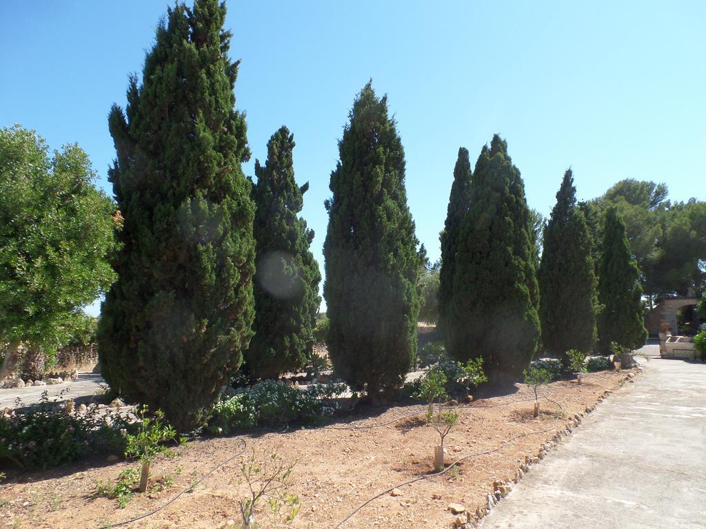 Sa Bassa Crua Agroturismo