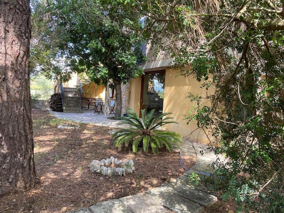 Petit Torrent Fals Holiday home