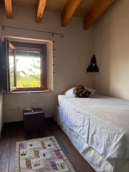 Petit Torrent Fals Holiday home Santa Eugenia