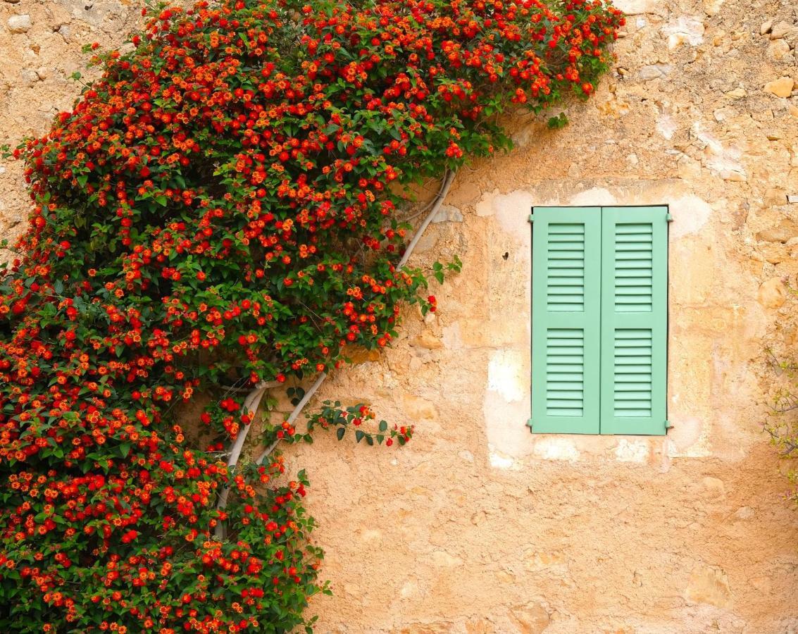 Agroturismo Ses Cases Noves *