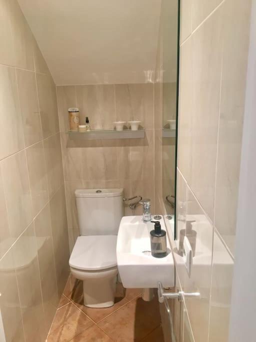 Experience Beautiful Duplex Penthouse With Terrace In Apartamento *