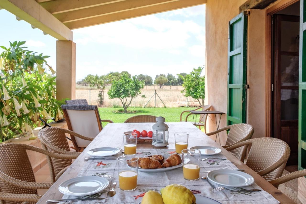 Bonita Sa Vinya Relax Y Piscina Privada Сasa de vacaciones *