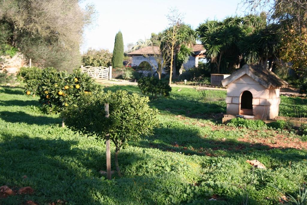 Finca Es Talaiot Villa