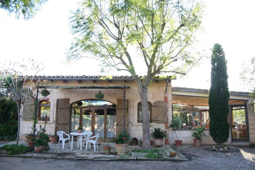 Finca Es Talaiot *