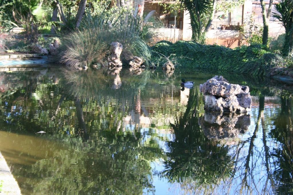 Villa Finca Es Talaiot