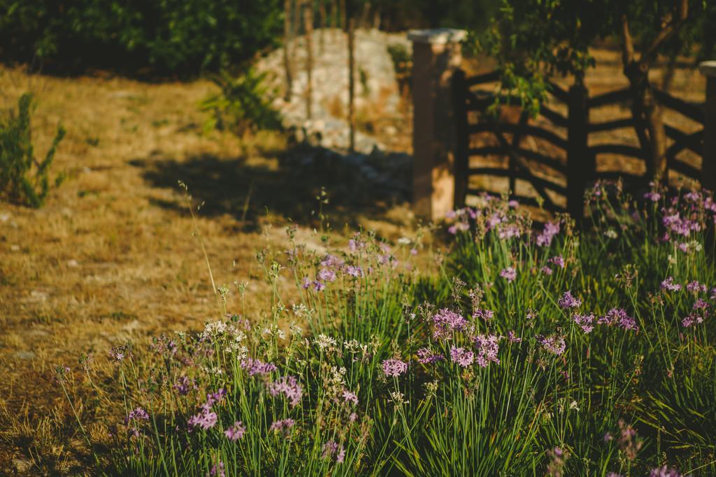 Son Hortola Es Capdella