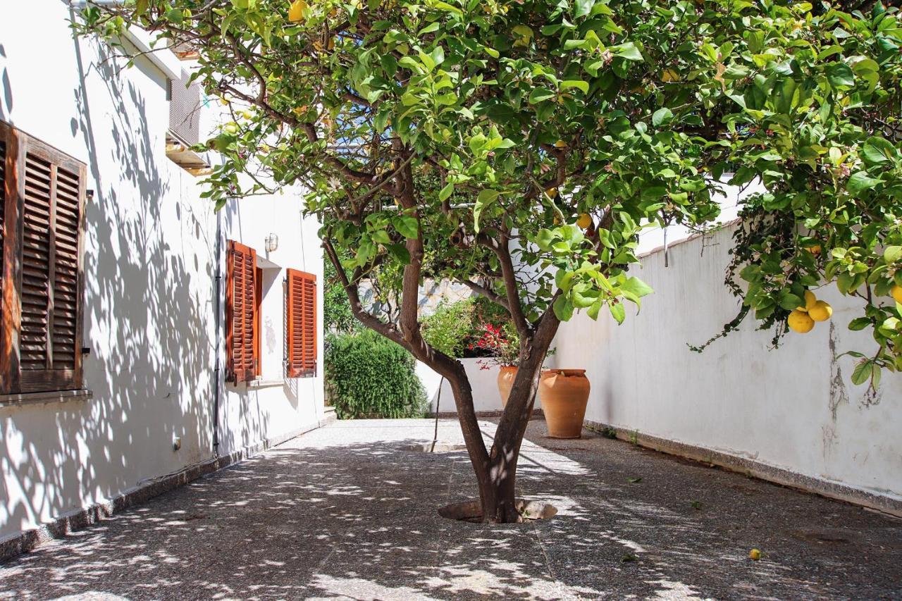 Odile Cala de Sant Vicenc