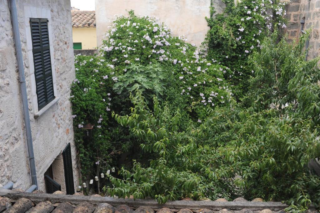 Hotel Petit Sa Placa Petra (Mallorca)
