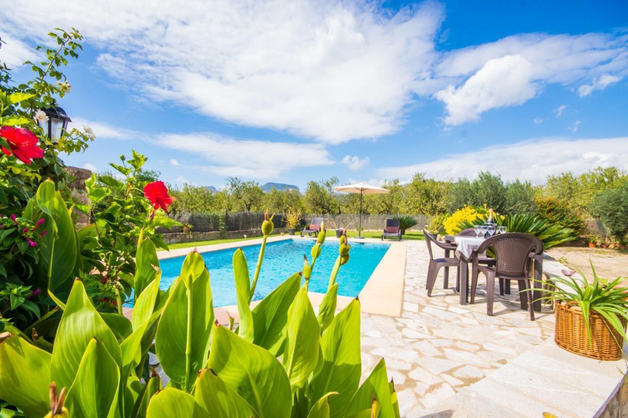 Ideal Mallorca - Puri Lloseta