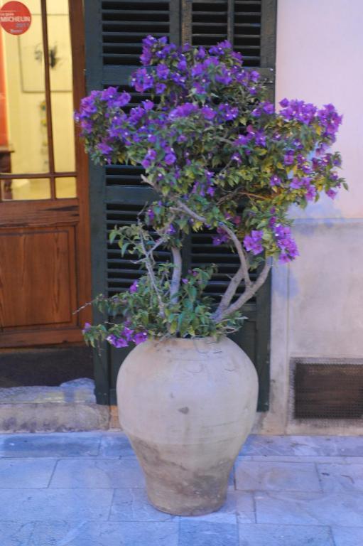 Hotel Petit Sa Placa Petra (Mallorca)