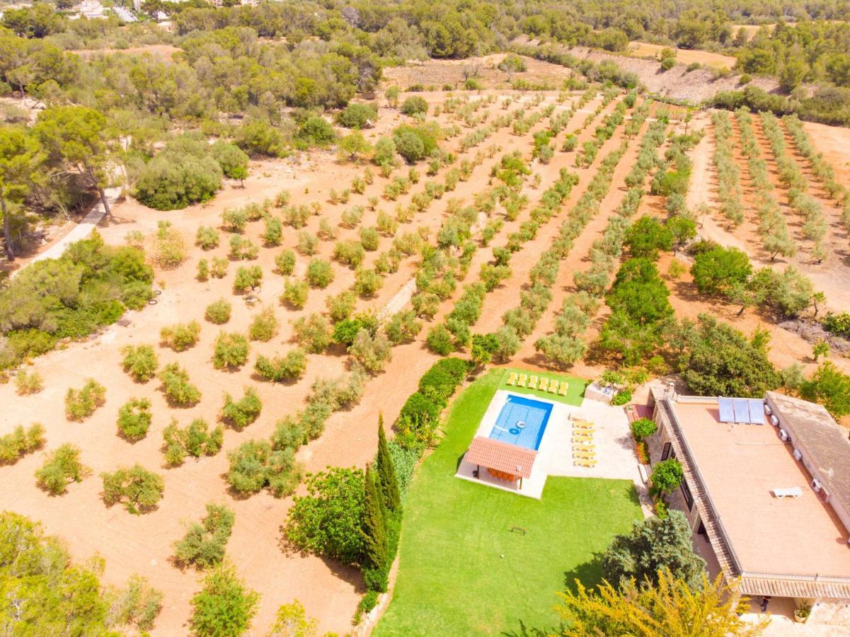 El Bosque By North Mallorca Villa *