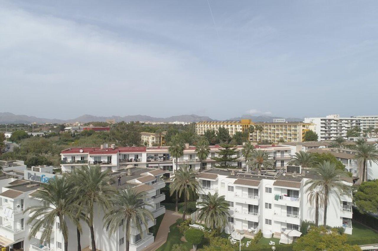 Palm Garden