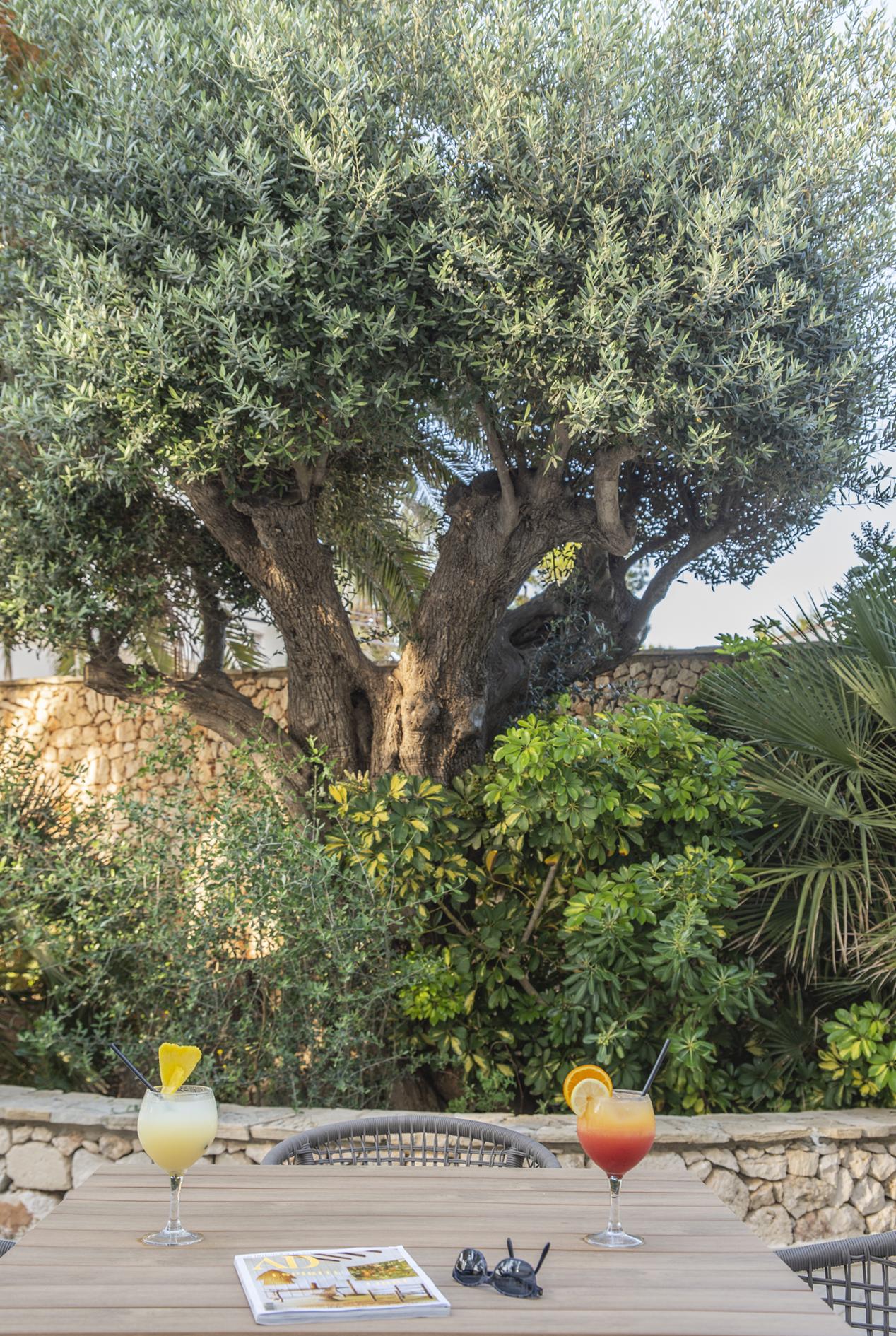 Hotel Vistamar By Pierre&vacances