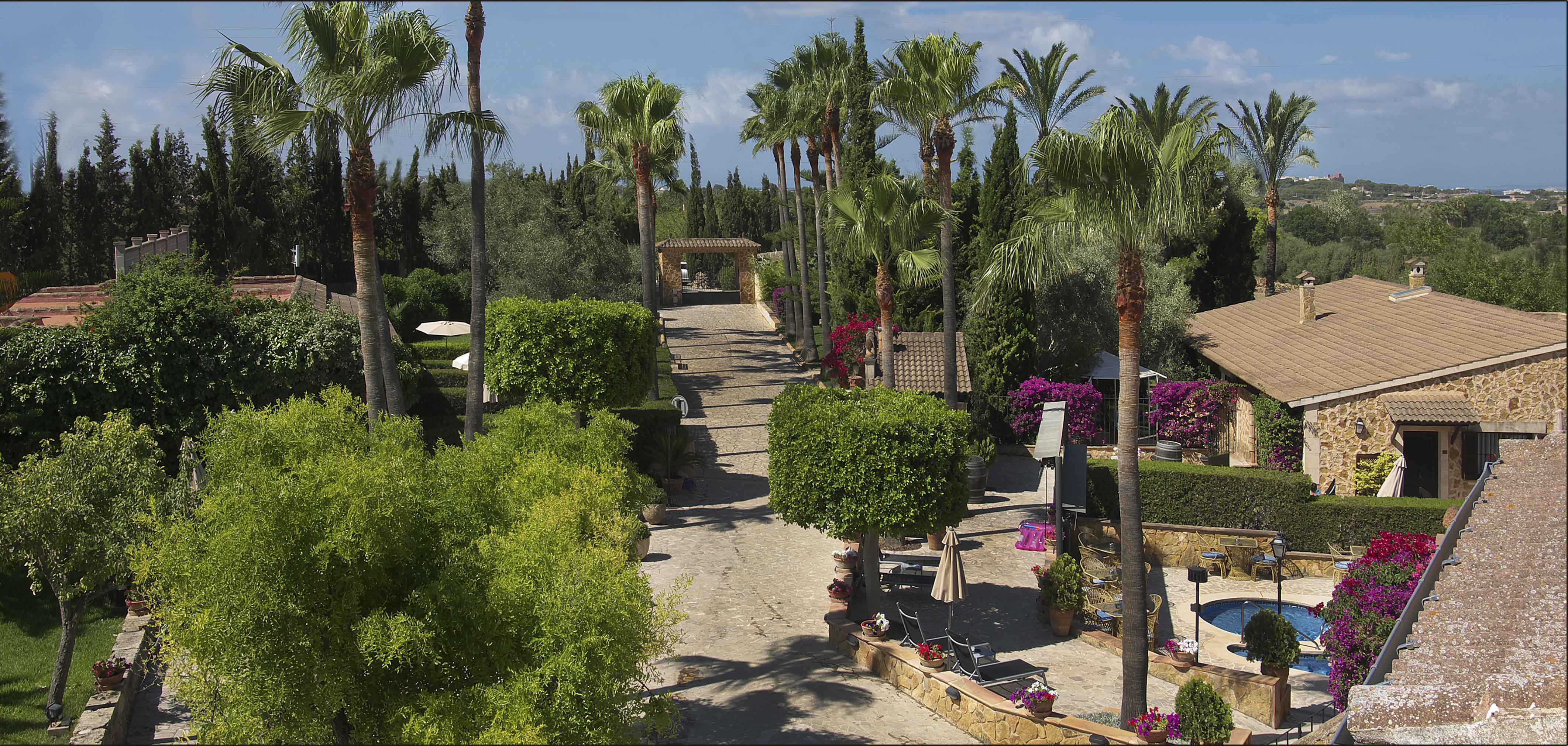 Hotel D' Es Molí Palma de Mallorca