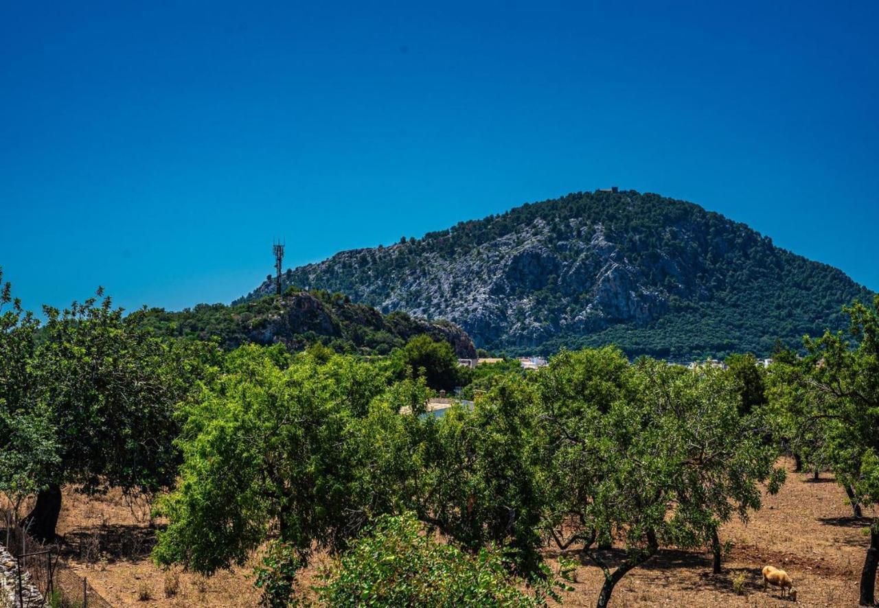 Angels Villa Pollensa