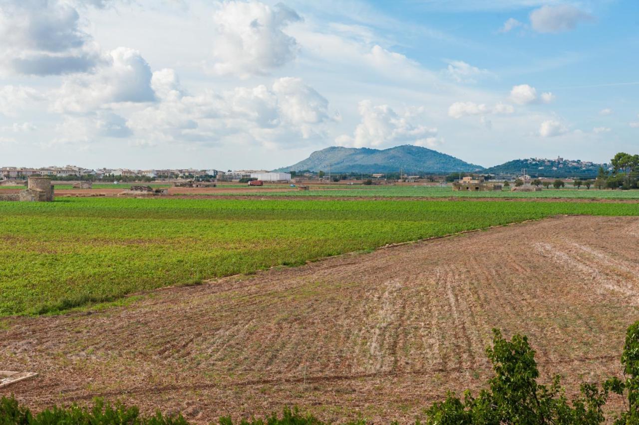 Puca -sa Pobla- * Sa Pobla