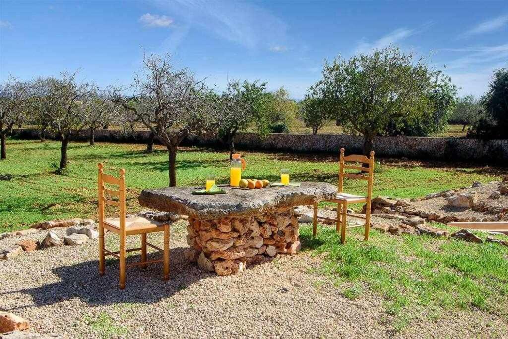 Sa Pletassa 8 Pax Wifi Piscina Jardin Bbq Chalet