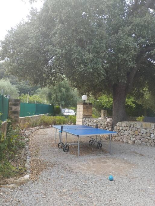 Bandris Situada A 2 Minutos Pollensa. Villa