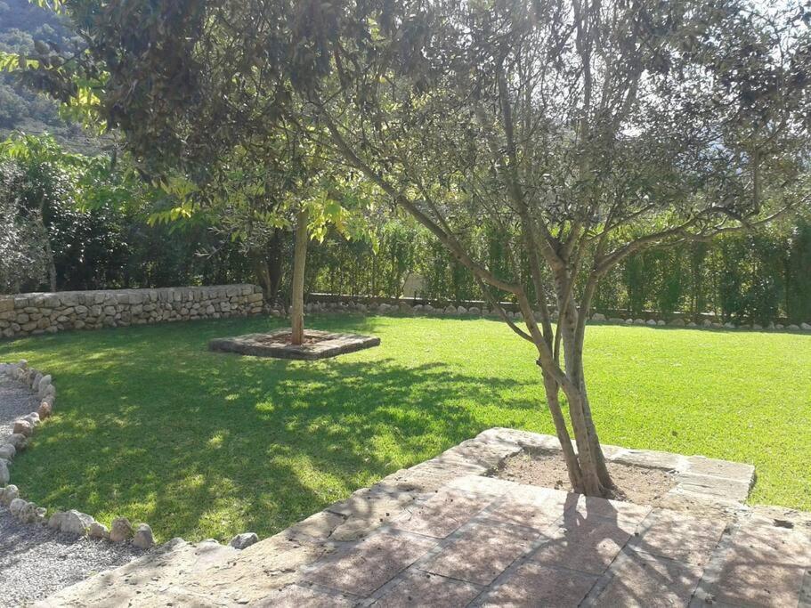 Bandris Situada A 2 Minutos Pollensa. *