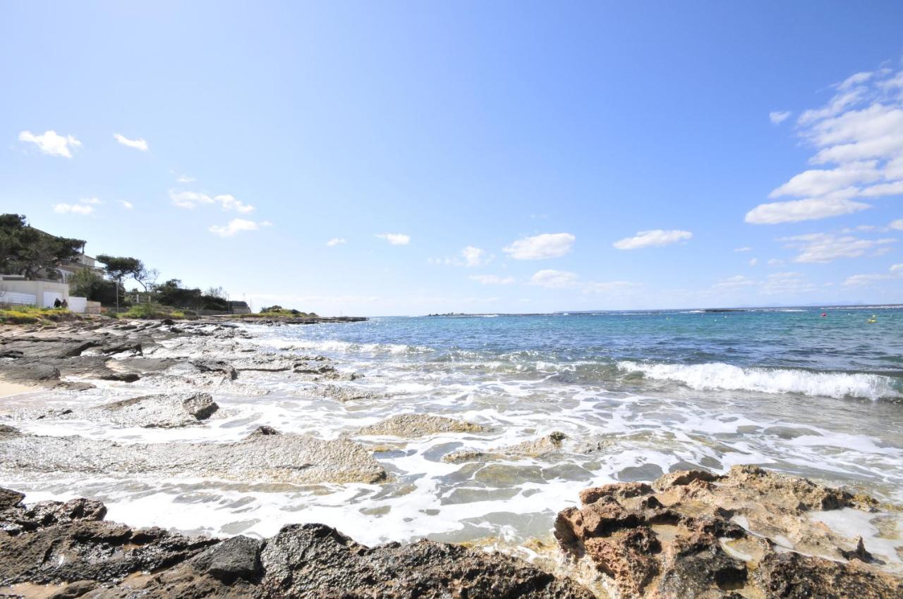 Apartamento Colonia Al Mare *