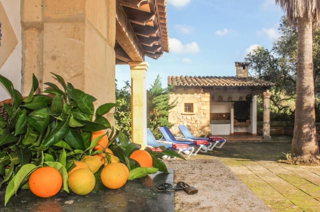 Oreano Villa Pollenca