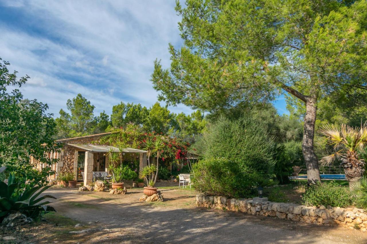 Garriga D'alcudiola Villa
