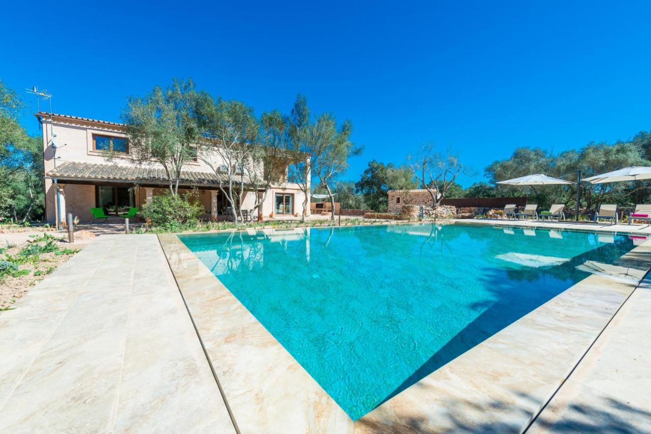 Madis Villa