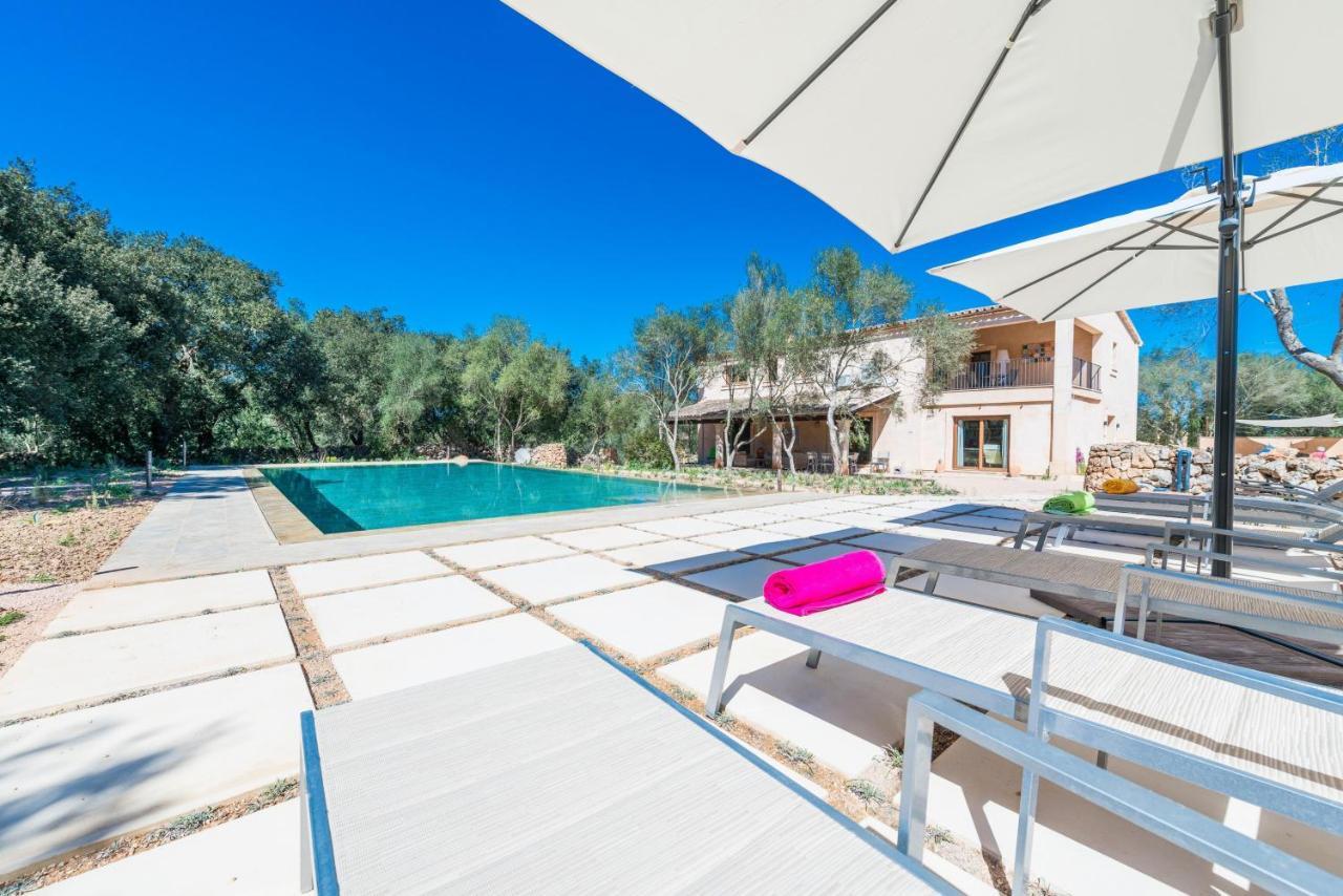 Madis Villa *