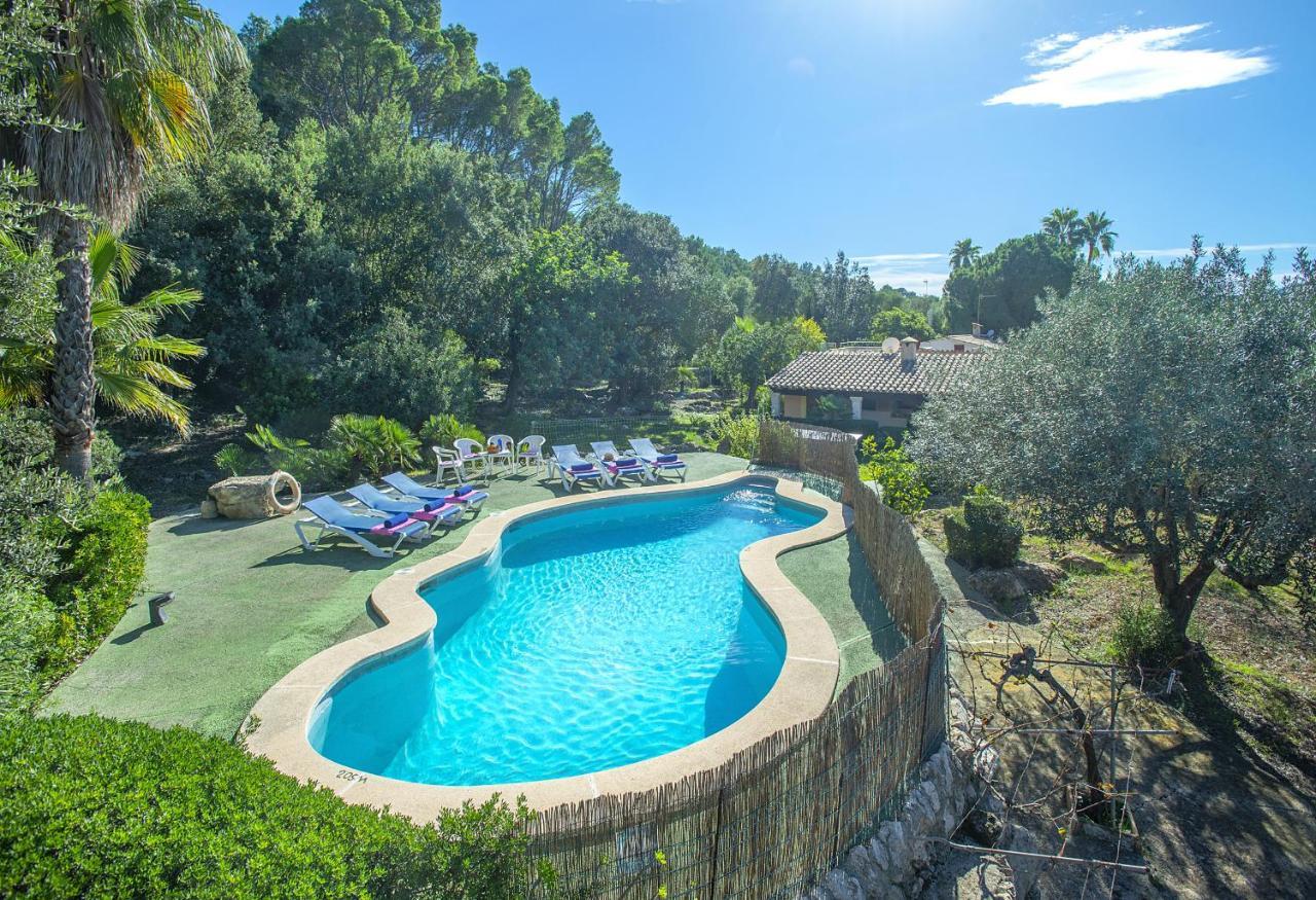Owl Moragues - Surrounded By Nature Villa Puerto Pollensa