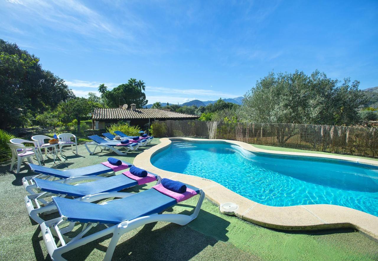 Owl Moragues - Surrounded By Nature Puerto Pollensa