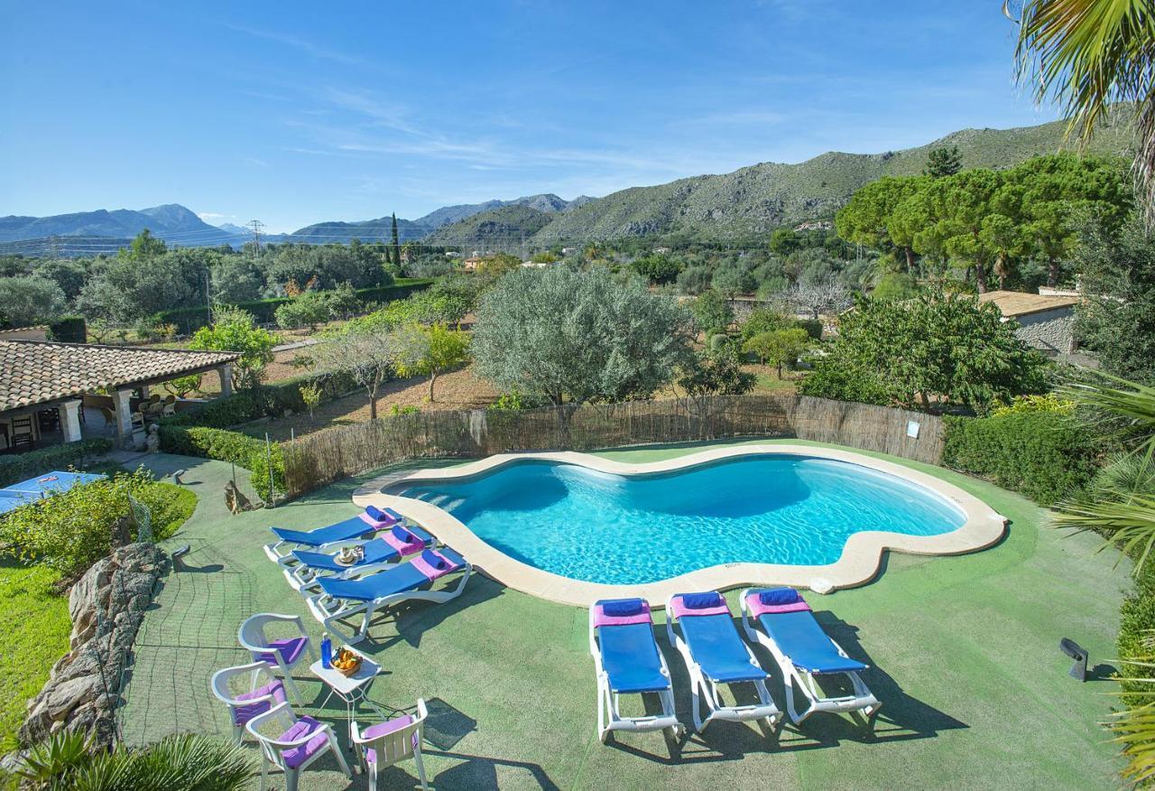 Owl Moragues - Surrounded By Nature * Puerto Pollensa