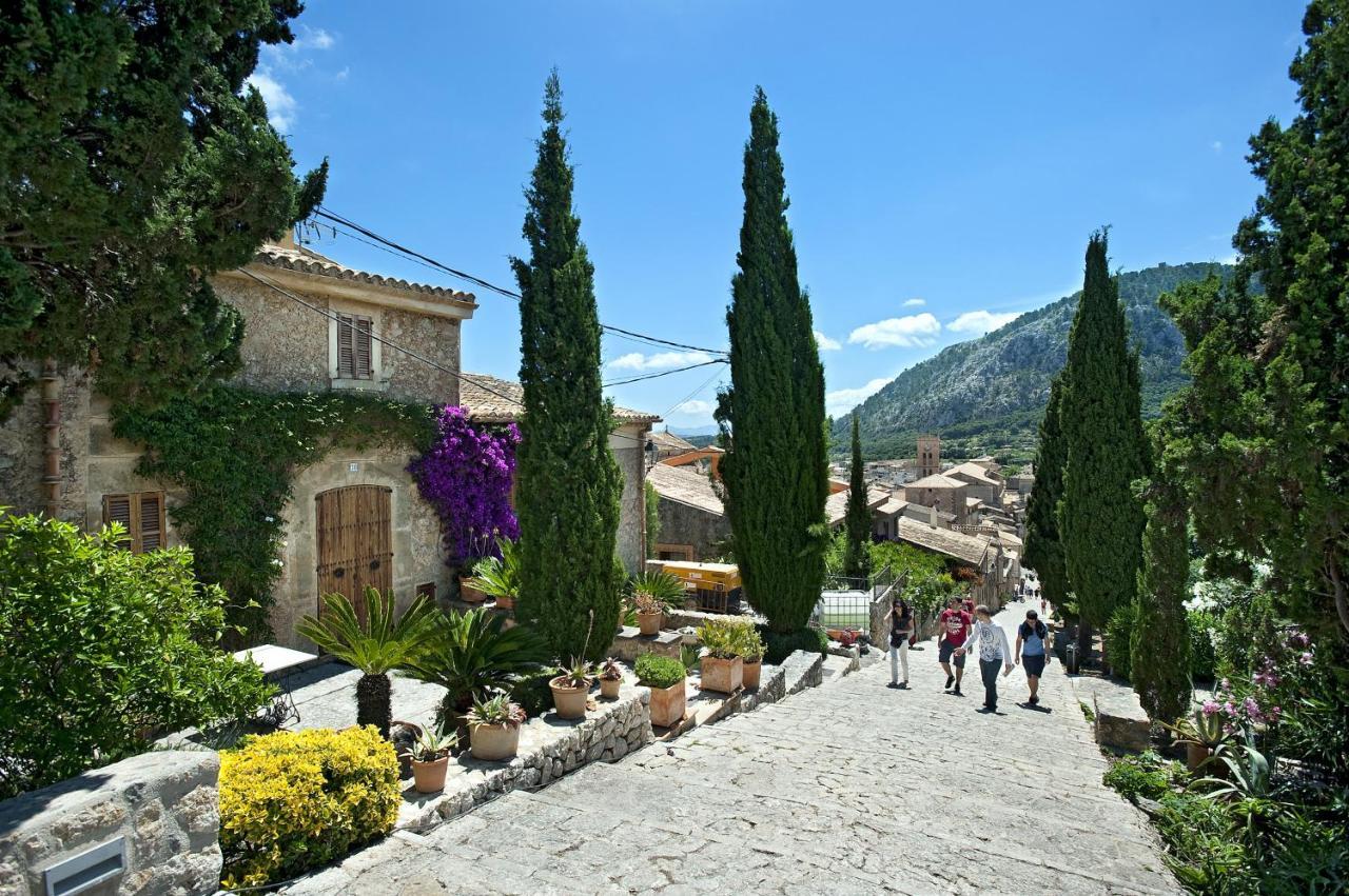 Owl Mairata - Great Garden And Pool Pollenca